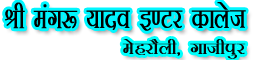 SRIMANGRU YADAV INTER COLLEGE